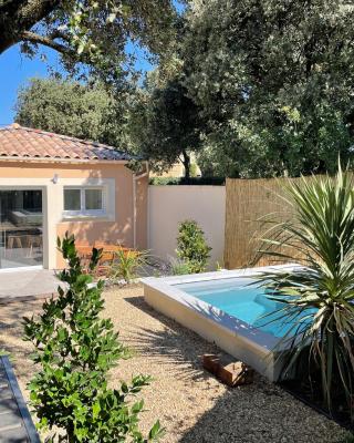 Magnifique villa avec piscine en Provence
