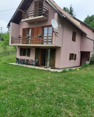 Studio apartman jelena