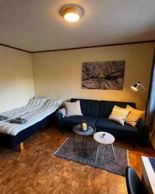 Privat rom i leilighet