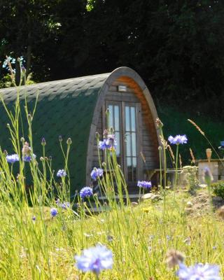 Cosy Pod-Cabin near beautiful landscape in Omagh