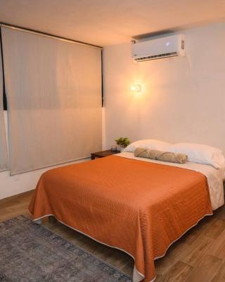 Departamento de 2 recamaras con 2 aires acondiconados, parking, wifi 70mb, refrigerador, micro,fregadero,licuadora,parrilla, cocina, D5