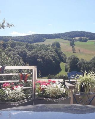 Gite moderne proche de Kaysersberg av jacuzzi privé