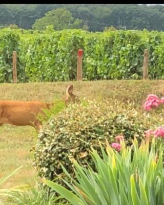 Avre de Paix Sancerrois