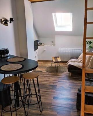 GAP hyper centre Studio atypique 2 personnes.