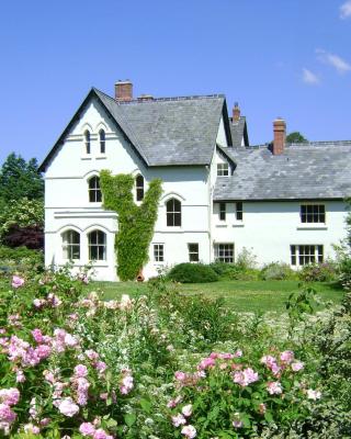 The Forest Country House B&B