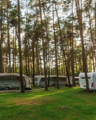 Urlaub im Wohnwagen mitten im Wald