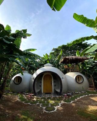 Adorable Dome House