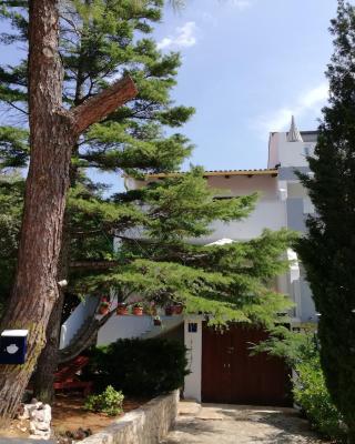 Apartments with parking spaces Mandre, Pag - 9420