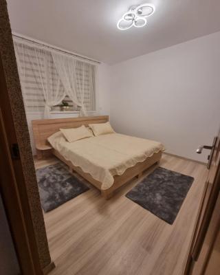 Apartament David