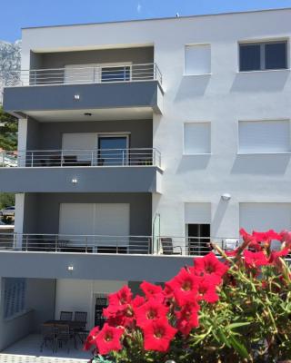 Apartments with a parking space Baska Voda, Makarska - 15214