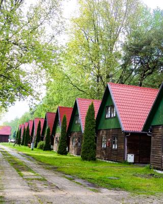 Półwysep Natura Tour