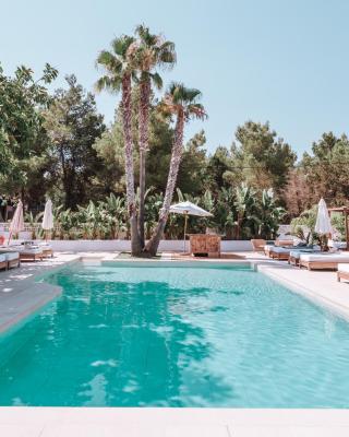 Hotel Boutique & Spa Las Mimosas Ibiza