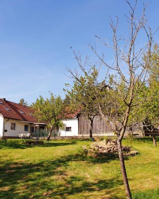 Die Alm in Schöllbüchl