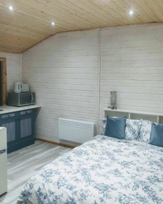 Cosy log cabin with views of Scrabo tower