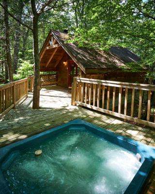 Gatlinburg Area Hottub Cabin - Ladyslipper