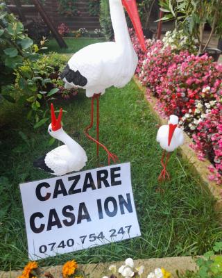 Casa Ion