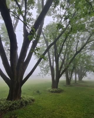 La Luna @ Misty Mountains