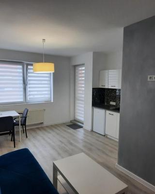 Apartament Katowicka