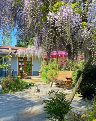 Wisteria Guest House