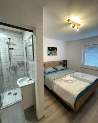 Apartments and rooms pri Bašlju