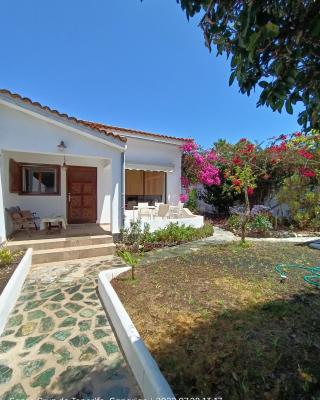 Schöne Wohnung in Puerto de la Cruz mit Garten.