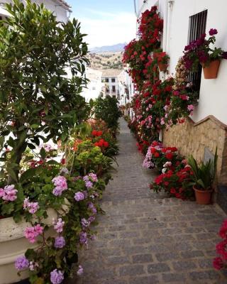 Casa de las Flores - a picture perfect location!