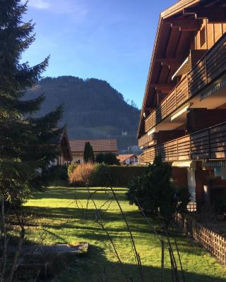 Ferienwohnung Interlaken/Wilderswil