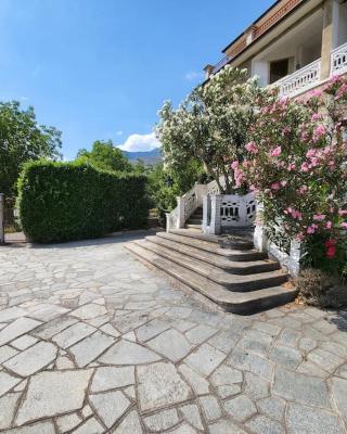 Big appartement - 9 guests - Air Conditionning and Courtyard