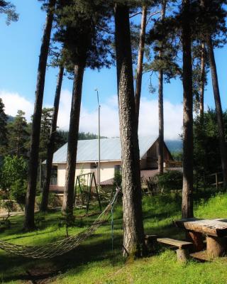Guest House on Meskheti
