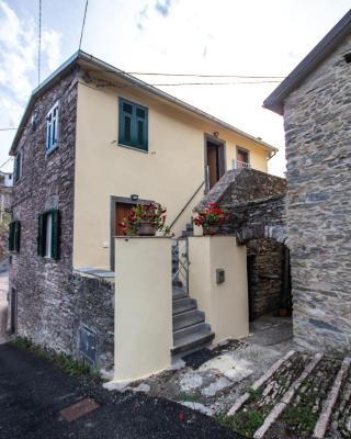 Near - Cinque Terre Holiday Apartment