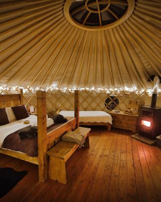 Secret Cloud House Holidays Luxury Yurts with Hot Tubs