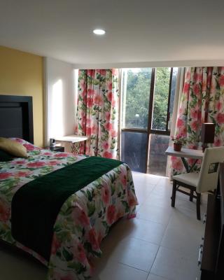 Charming sunny bedroom overlooking beautiful Amsterdam Avenue in best Condesa area