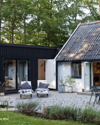 Bokis - Modern Forest Cottage