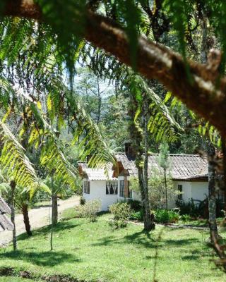 Posada Montaña del Quetzal