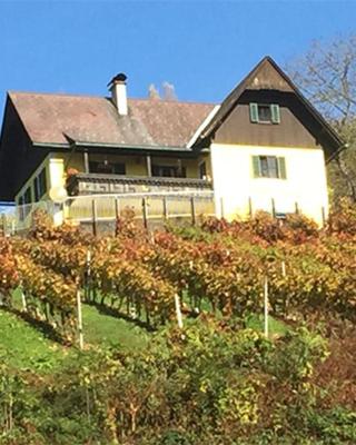 Malerisches Weingartenhäuschen in Kitzeck