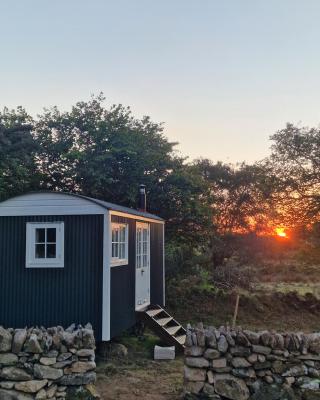 The Hazel Hut