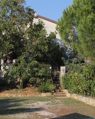 Apartments and rooms with parking space Rovinj - 7170