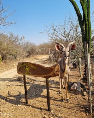 Shebamona No loadshedding