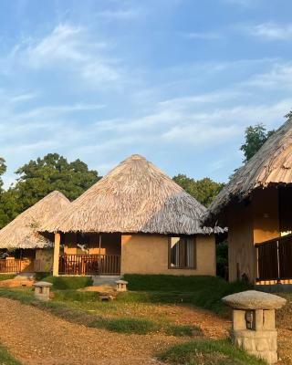 Saffron Lake Yala