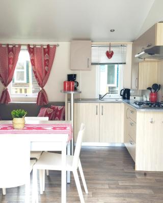 Mobil-home tout confort climatisé 6 personnes proche Europa Park, route des vins, Alsace
