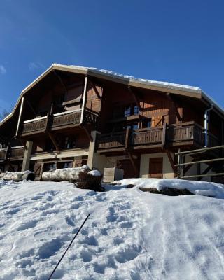 Appartement face Mont Blanc