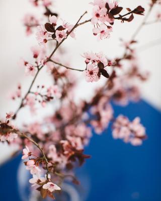 Cherry Blossom - Backup Power Inverter
