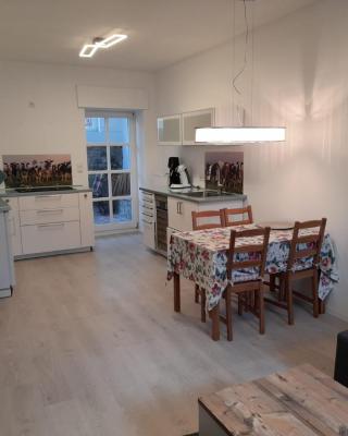 Ferienwohnung Am Geysirzentrum