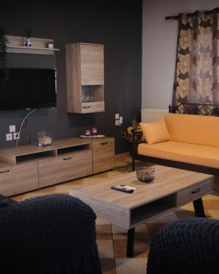 Vretti's apartment