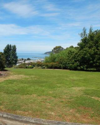 Burnie Port Views