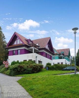 Comfortable holiday home in Lipno with garden
