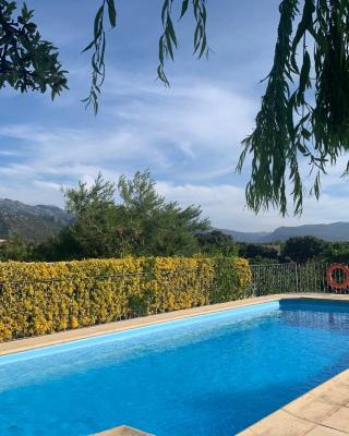 Cabañas Cortijo el Helao