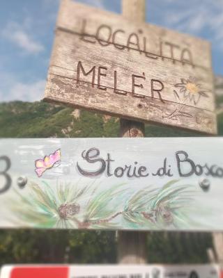 Storie di bosco