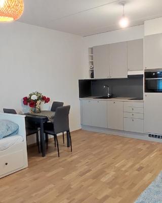 Ruby studio 5min to Vantaa Airport and 20min to Helsinki center