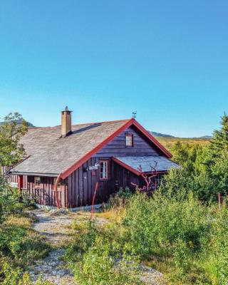 Cozy Home In Hovden I Setesdalen With Kitchen